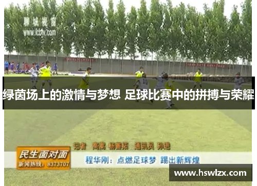 绿茵场上的激情与梦想 足球比赛中的拼搏与荣耀
